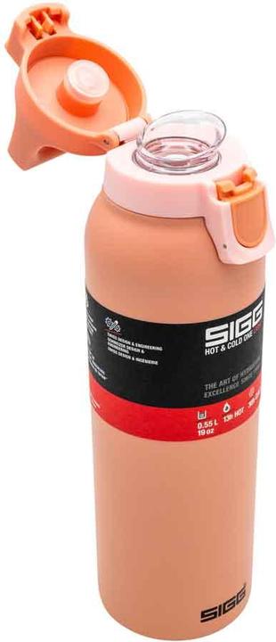 Image du produit Sigg H&C One Light (0.55 l)