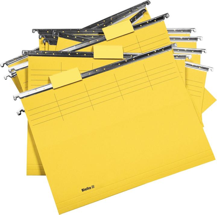 Biella Suspension file (A4, 25 x)