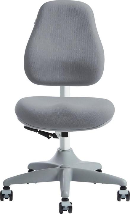 Actual product image Flexa Chair Verto