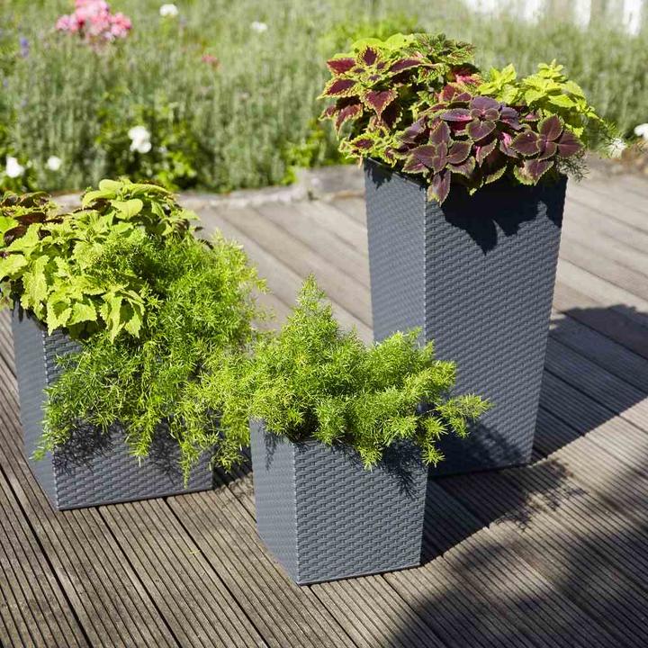 Produktbild Siena Garden Modern (40 cm)