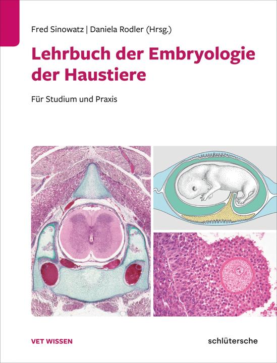 Image du produit Lehrbuch der Embryologie der Haustiere (Allemand, Fred/Rodler, Sinowatz, 2024)