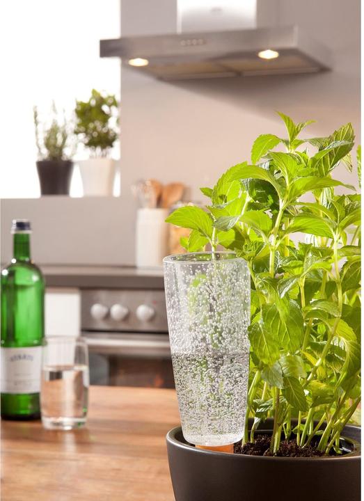 Image du produit Scheurich Copa XL (Cône d'argile)