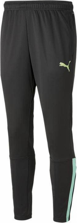 Actual product image Puma TeamLIGA training pants men (XL)