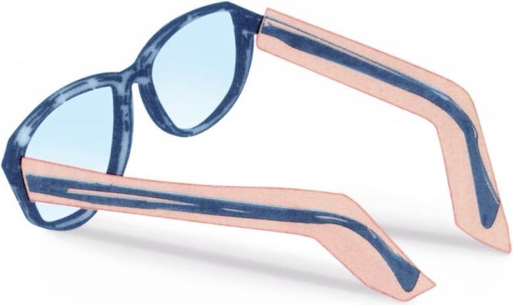 Actual product image Fripac Eyeglass temple protection bag