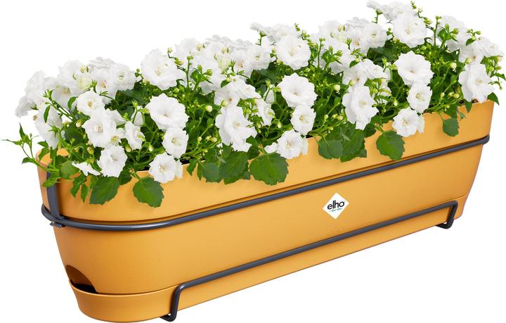 Immagine prodotto Elho Vibia Campana Balcony Box Allin1 (26 cm)