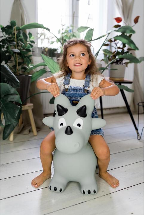 Produktbild Kindsgut Dinosaurier