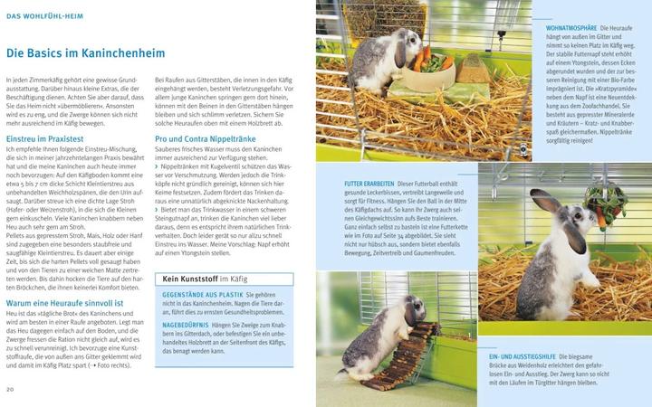 Produktbild Zwergkaninchen (Deutsch, Monika Wegler, 2014)