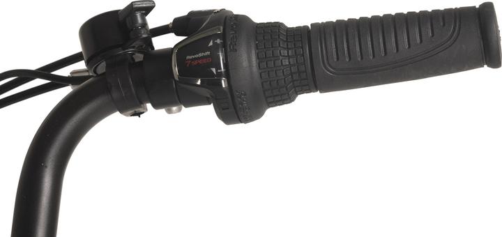 Actual product image Adore E-city bike ladies Hollandia Lido 28" e-bike 7 gears (49 cm)