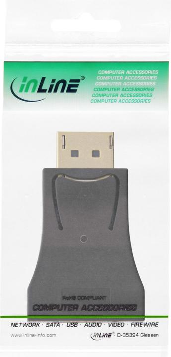 Produktbild InLine DisplayPort Konverter (VGA, 12 cm)