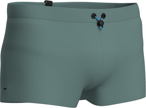Actual product image Arena M Evo Swim Short (7, L)