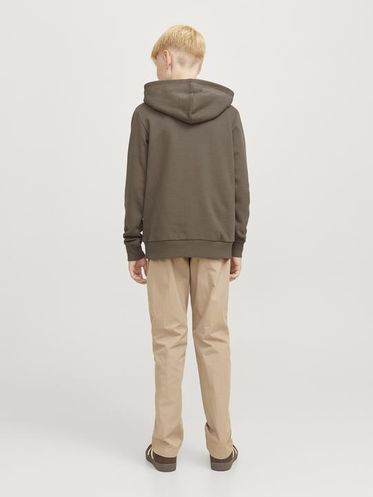 Actual product image Jack & Jones Jjecaleb Varsity Sweat Hood Noos Jnr (140)