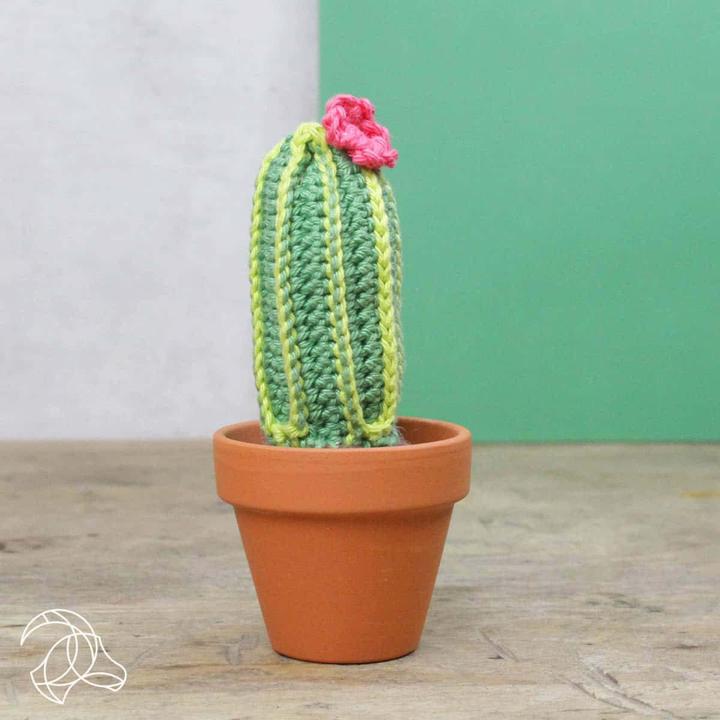 Image du produit Hardicraft Cactus - Kit de crochet