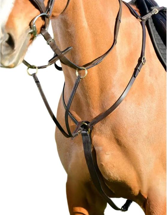 Kincade Breast Blatt mit Martingal Classic Leder