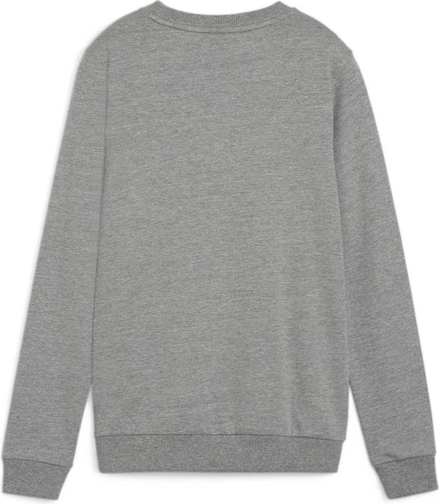Produktbild Puma teamGOAL Casuals Crew Neck Sweat Wmn (XS)