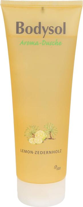 Image du produit Omega Pharma Bodysol Gel douche aromatique Citron-Cèdre, 250 ml gel (250 ml)