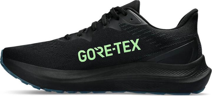 Produktbild ASICS Performance GT-2000 12 GTX (43.5)