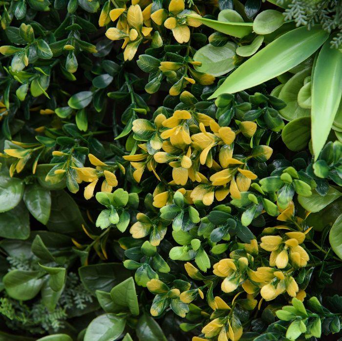 Actual product image Swisshandel24 12 pieces artificial plant wall hedge 50x50 cm UV protection Privacy screen Multi-leaf design Hedge (50 cm)