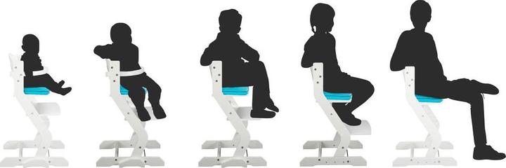 Immagine prodotto Tissi Seggiolone (Seggiolone)