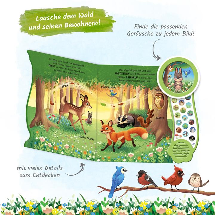 Actual product image Soundbuch In der Natur (German)