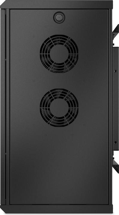 Immagine prodotto APC NetShelter WX 6U montaggio a parete a basso profilo (6 HE, Rack da 19 pollici)