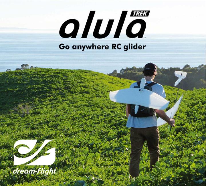Immagine prodotto Dream-Flight Alula Trek Arg Dlg Lindinger Superset Con Ser Vos E Batteria Ricevitore Discus Launch Glid (Aliante)