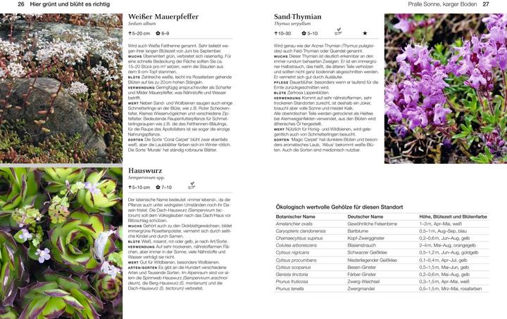 Immagine prodotto Welche Pflanze passt wohin im Naturgarten? (Tedesco, Paula Polak, 2020)