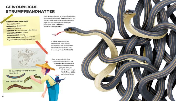 Actual product image National Geographic Besonders und wunderbar: Reptilien (German, Cristina Banfi, Claudia Theis-Passaro, 2021)