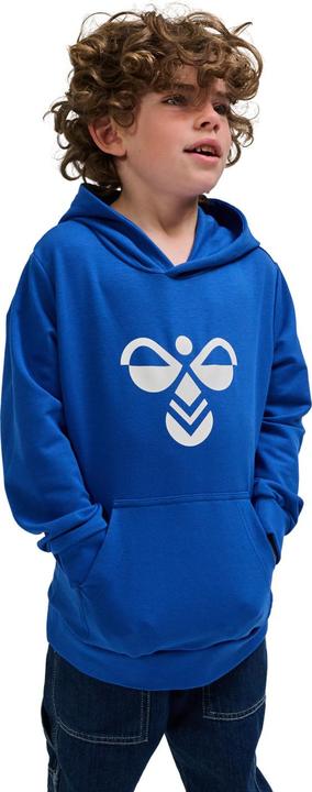 Actual product image hummel hmlCUATRO HOODIE (116)