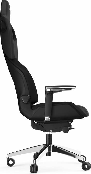 Actual product image RECARO Exo Platinum 2.0