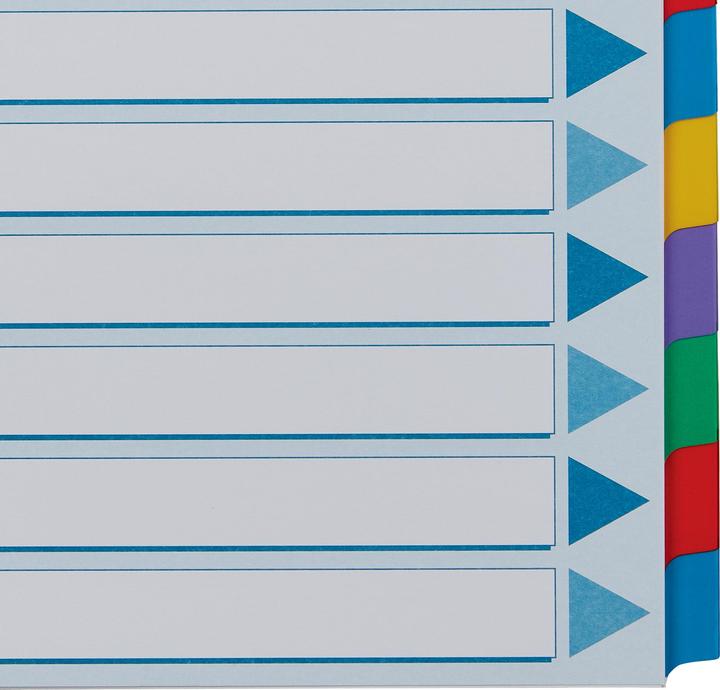 Actual product image Esselte Indice cardboard blank with reinforced tabs