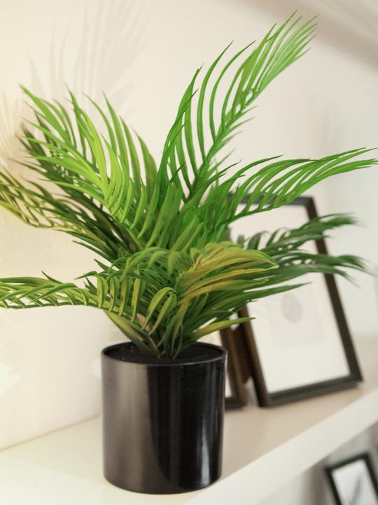 Actual product image Europalms Gold Fruit Palm, Artificial Plant, 46 cm (46 cm)