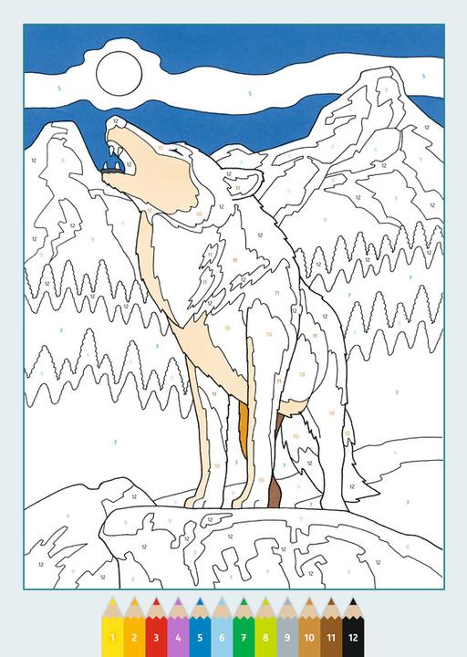 Produktbild Ravensburger Malbuch Malen nach Zahlen