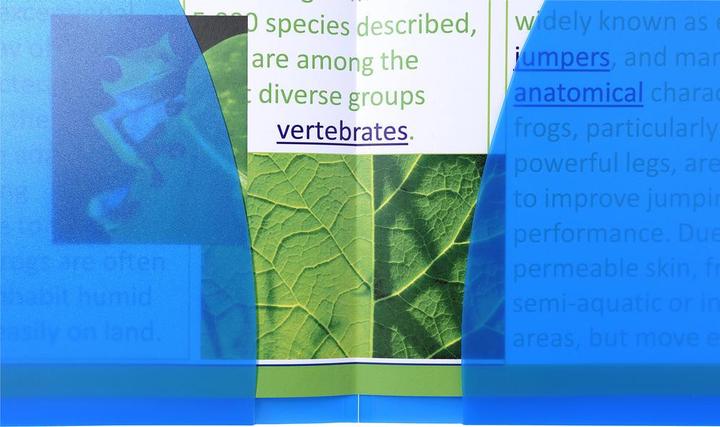 Actual product image Exacompta Presentation folders (A3, 1 x)