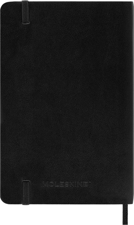 Actual product image Moleskine Daily calendar (A6, Pocket, English)