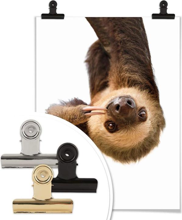 Actual product image Trenddeko The Sloth (24 x 30 cm)