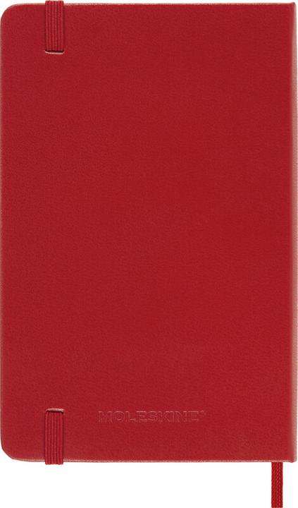 Produktbild Moleskine Taschenagenda Daily (9 x 14 cm, Englisch)