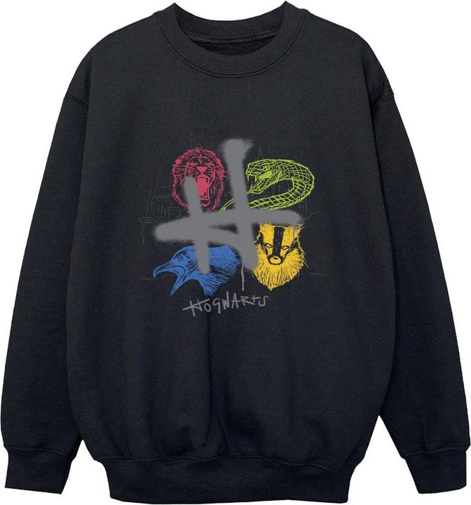 Image du produit - Sweat EMBLEMS H SPRAY - Garçon (128)