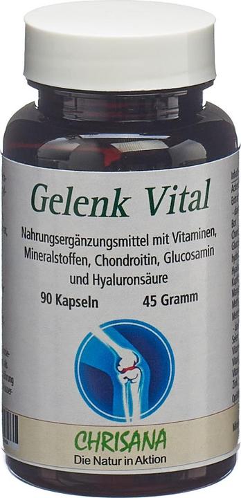 Chrisana Gelenk Vital Kapsel (90 Stück, Kapseln, 69 g)