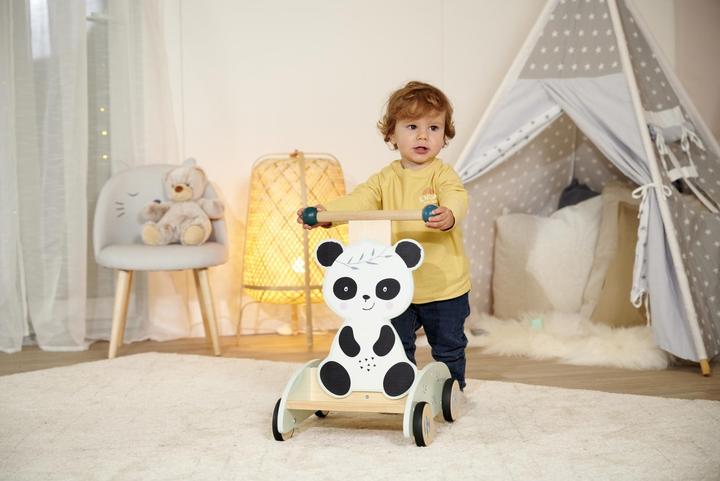 Actual product image Eichhorn EH Schiebe-Lauflernwagen
