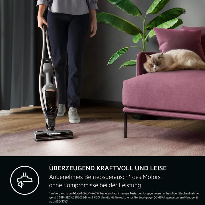 Produktbild AEG Akku-Staubsauger AS62A25UOT 900402084