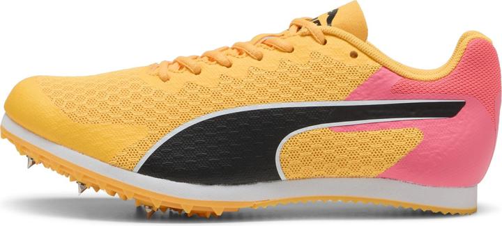 Image du produit Puma evoSPEED Star 9 Junior (35)