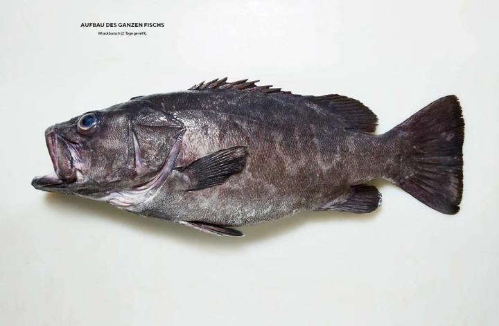 Actual product image Der ganze Fisch: Rezepte von der Flosse bis zur Kieme (German, Josh Niland, 2021)