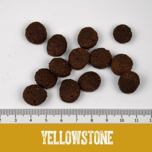 Produktbild Black Canyon Yellowstone Adult (Adult, 1 Stk., 5000 g)