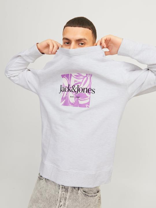 Actual product image Jack & Jones Printed sweatshirt with round neck Sweatshirt with round neck (S)