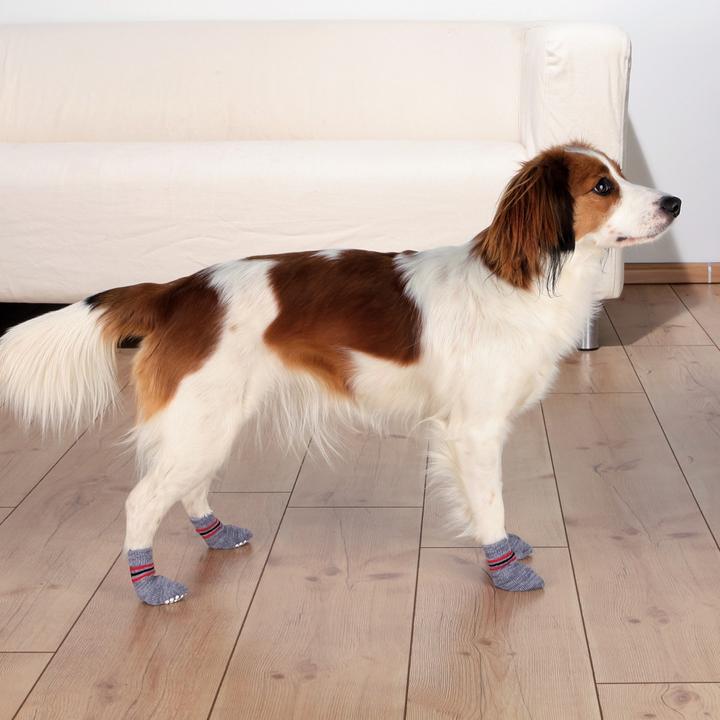 Immagine prodotto Trixie Calze per cani (M, L, Calzini per cani)