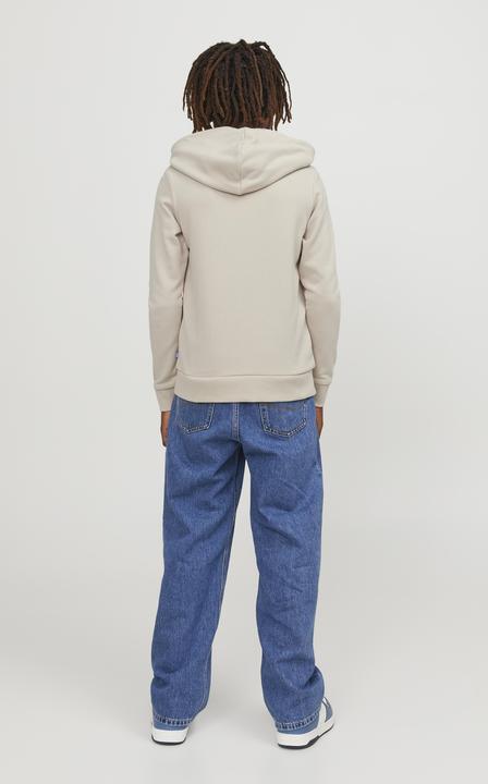 Image du produit Jack & Jones Sweat à capuche garçon (152)