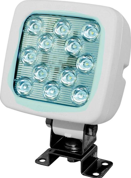 Actual product image Bucher + Walt Worklight 12LED,white,10-35V