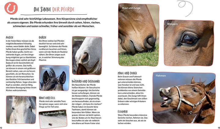 Produktbild Kosmos Pferdesprache für Kinder (Deutsch, Andrea Eschbach, Markus Eschbach, 2022)