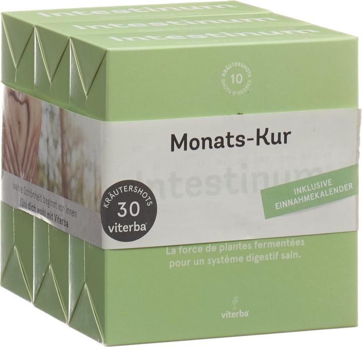 Produktbild Viterba Intestinum Kräutershots gesunde Verdauung Monatspack 3x (10 Stück, Shot, 1048 g)