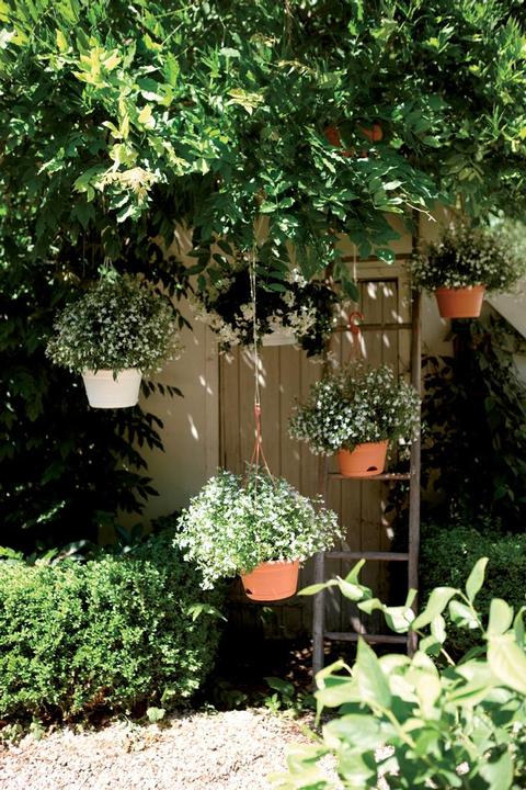 Actual product image Elho Green Basics Hanging Lamp (27.80 cm)